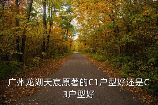 廣州龍湖天宸原著的C1戶型好還是C3戶型好