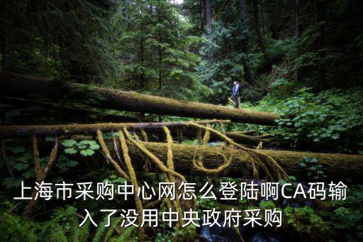 上海市采購中心網(wǎng)怎么登陸啊CA碼輸入了沒用中央政府采購