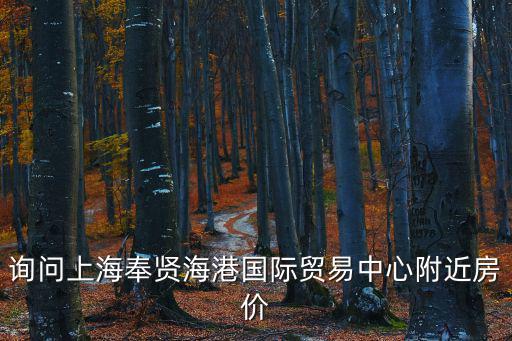 詢問上海奉賢海港國際貿(mào)易中心附近房價
