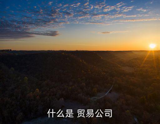 什么是 貿易公司