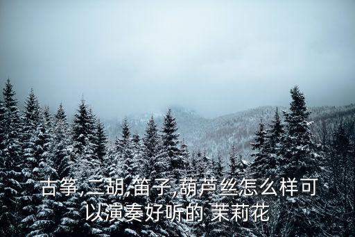 古箏茉莉花,二胡聲和古箏聲合奏一首情人節序曲
