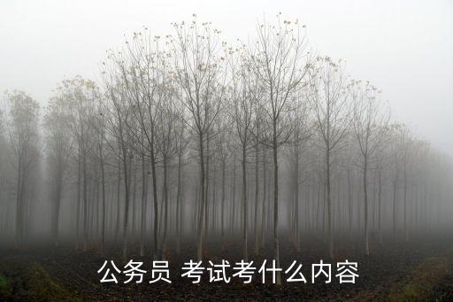  公務員 考試考什么內容