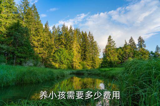 養(yǎng)小孩需要多少費(fèi)用