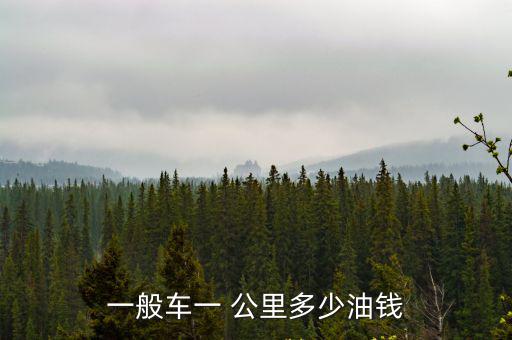 一般車一 公里多少油錢