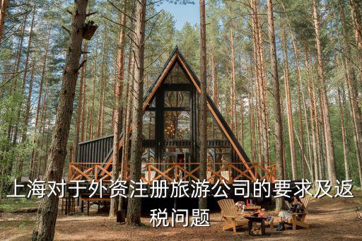 上海臨港企業返稅政策，我以前在上海外高橋造船廠的分廠臨港海洋工程有限公司辦了一個焊工