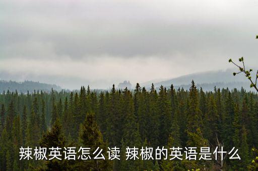  辣椒英語怎么讀 辣椒的英語是什么