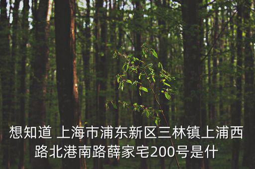 上海奉賢中建海樾府，想知道 上海市浦東新區三林鎮上浦西路北港南路薛家宅200號是什