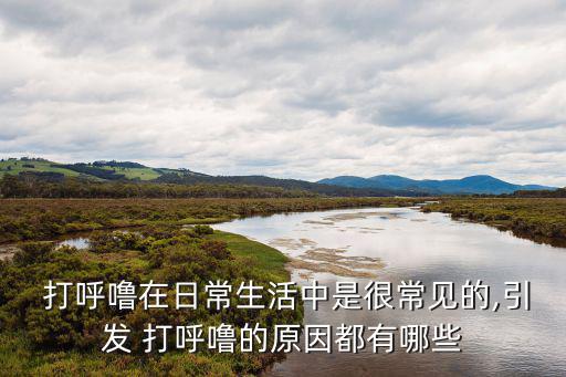 打呼嚕的原因有哪些,睡覺打呼嚕怎么回事?