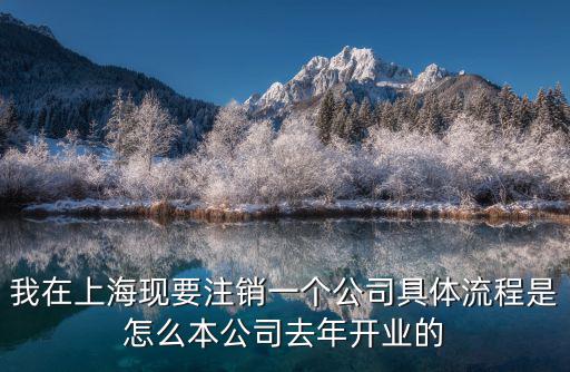 我在上海現要注銷一個公司具體流程是怎么本公司去年開業的
