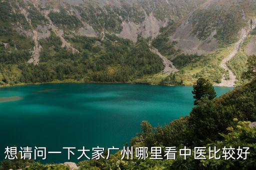 想請問一下大家廣州哪里看中醫比較好