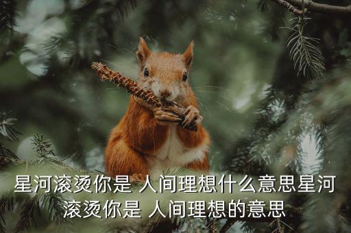 星河滾燙你是 人間理想什么意思星河滾燙你是 人間理想的意思