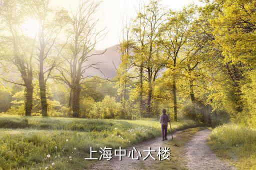 介紹上海中心大廈說明文，上海中心大樓