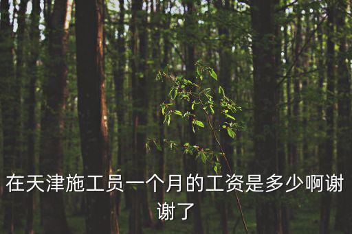 天津市建筑小工一個(gè)月多少錢啊，天津小工砌墻工資是多少