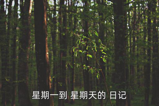 星期一到 星期天的 日記