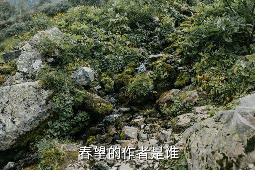 杜甫《春望》,杜甫/1歲詩人對國家的熱愛寫于安史之亂時期