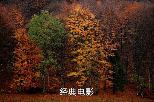 絕命調(diào)查,《簡筆畫》講述主人公羅伊是騙子的故事