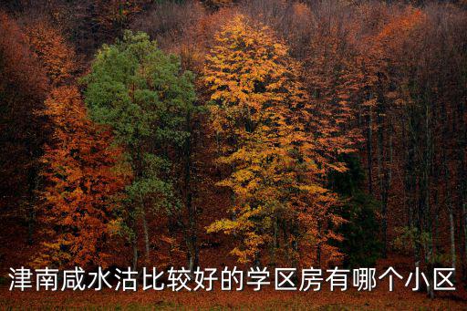 津南咸水沽比較好的學區房有哪個小區
