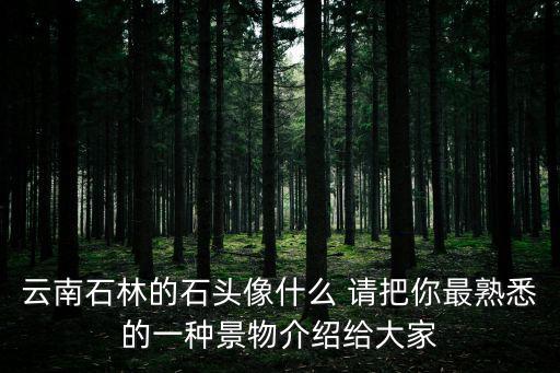 云南石林的石頭像什么 請把你最熟悉的一種景物介紹給大家