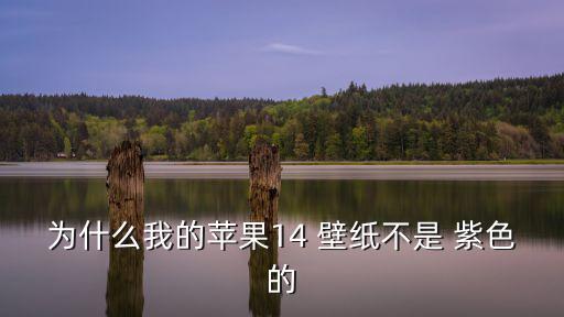 為什么我的蘋果14 壁紙不是 紫色的