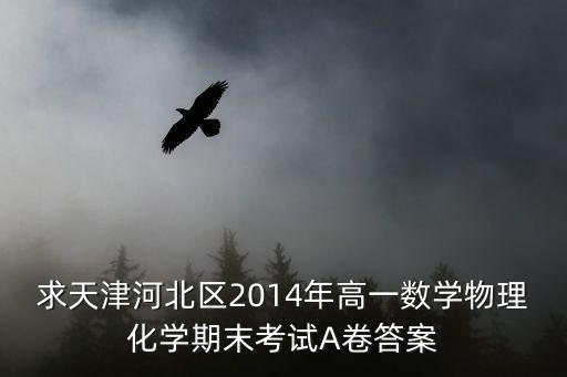 求天津河北區2014年高一數學物理化學期末考試A卷答案