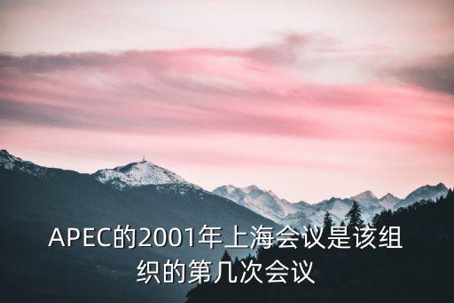 APEC的2001年上海會議是該組織的第幾次會議