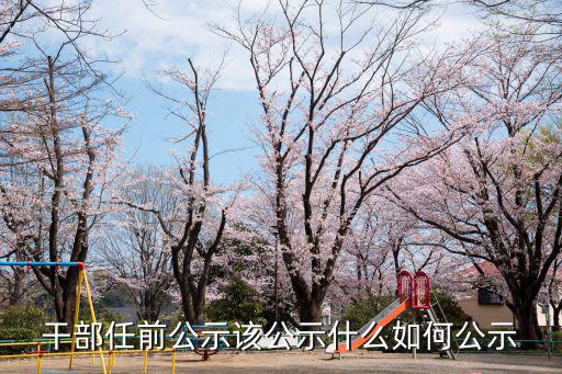 北京干部任前公示公告查詢，干部任前公示 哪里人 是按籍貫還是出生地