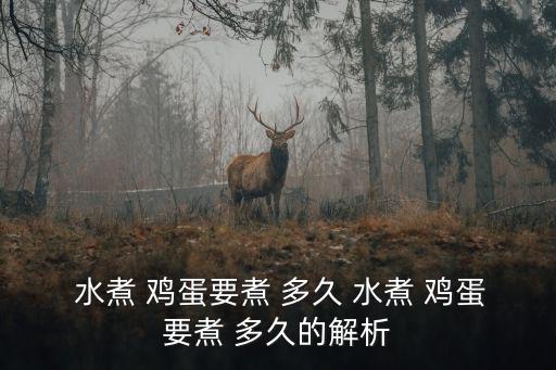  水煮 雞蛋要煮 多久 水煮 雞蛋要煮 多久的解析