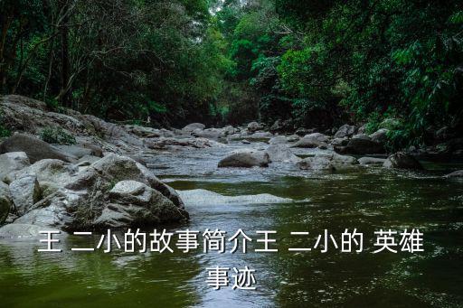 王 二小的故事簡介王 二小的 英雄事跡