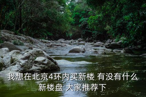 我想在北京4環內買新樓 有沒有什么新樓盤 大家推薦下