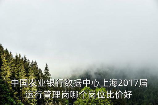 農(nóng)業(yè)銀行上海數(shù)據(jù)中心，中國農(nóng)業(yè)銀行數(shù)據(jù)中心上海2017屆運行管理崗哪個崗位比價好