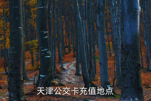 天津市公交公司網(wǎng)上充值，天津公交卡充值地點(diǎn)