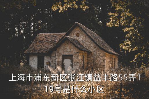 上海市浦東新區張江鎮益豐路55弄119號是什么小區