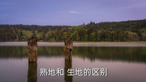  熟地和 生地的區(qū)別