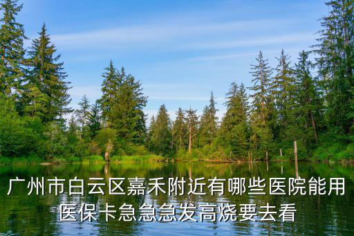 廣州市白云區嘉禾附近有哪些醫院能用醫保卡急急急發高燒要去看