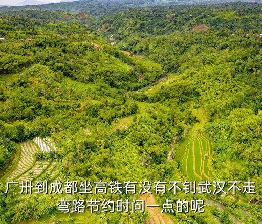 廣卅到成都坐高鐵有沒有不釗武漢不走彎路節約時問一點的呢