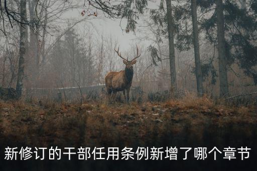 新修訂的干部任用條例新增了哪個章節(jié)