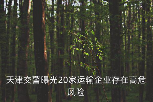 天津交警曝光20家運輸企業存在高危風險