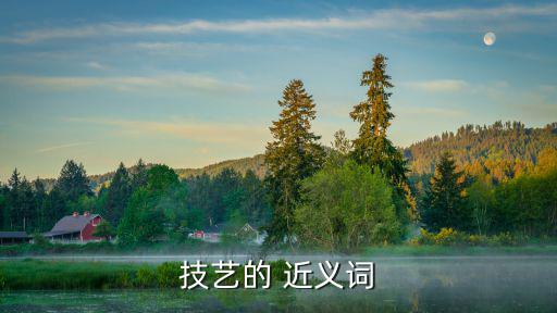技藝的 近義詞