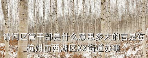 請問區管干部是什么意思多大的官是在杭州市西湖區XX街道辦事