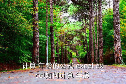 計算 年齡的公式 excel excel如何計算 年齡