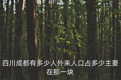 四川成都有多少人外來人口占多少主要在那一塊