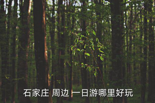  石家莊 周邊 一日游哪里好玩