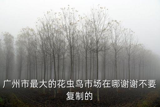 廣州市最大的花蟲鳥市場在哪謝謝不要復制的