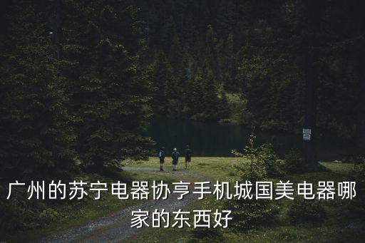 廣州廣成電器，廣州的蘇寧電器協亨手機城國美電器哪家的東西好