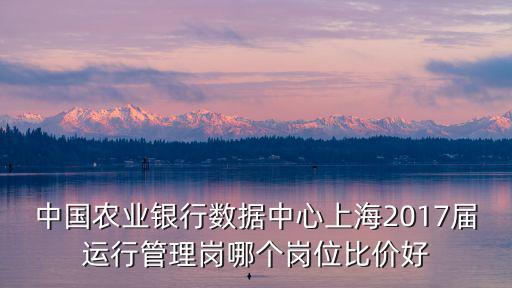 中國農(nóng)業(yè)銀行數(shù)據(jù)中心上海2017屆運行管理崗哪個崗位比價好