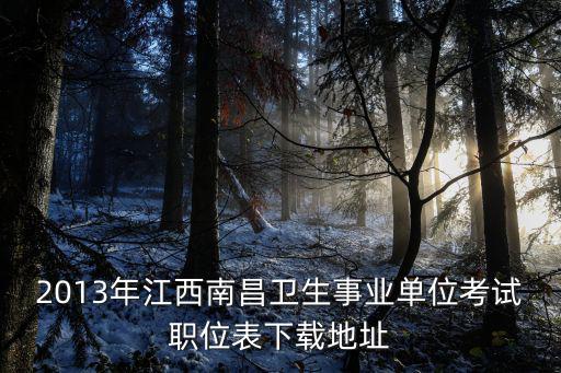 2013年江西南昌衛(wèi)生事業(yè)單位考試職位表下載地址