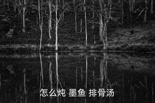 怎么燉 墨魚 排骨湯