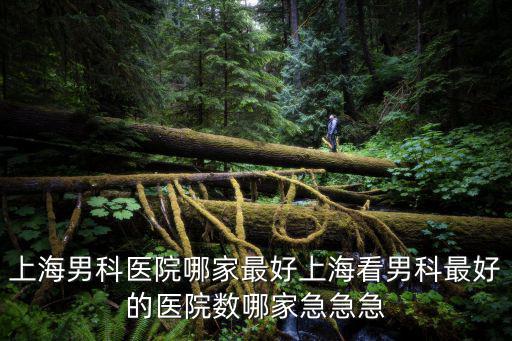上海男科醫院哪家最好上?？茨锌谱詈玫尼t院數哪家急急急