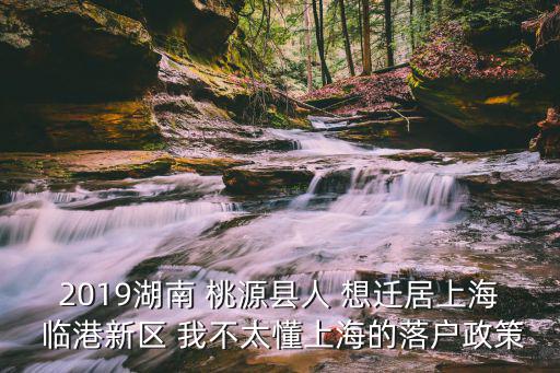 2019湖南 桃源縣人 想遷居上海 臨港新區 我不太懂上海的落戶政策