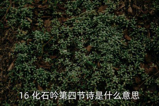 化石吟,詩人用四句詩句贊美化石為我們展示萬萬年前生物世界